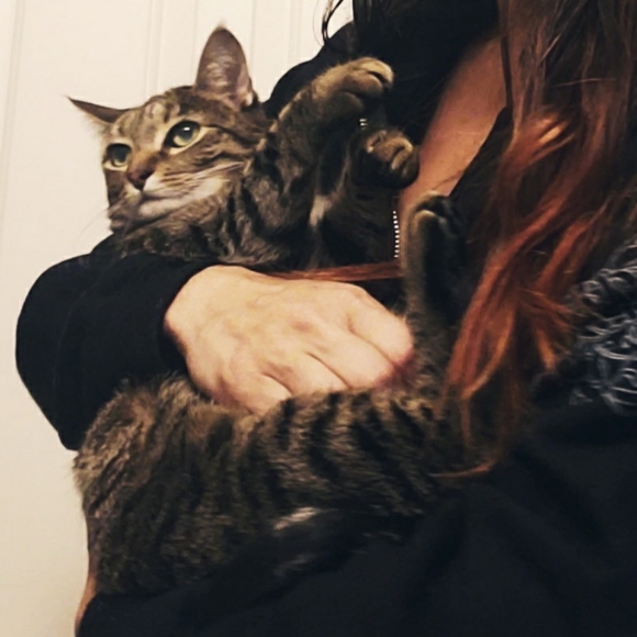 Meet your Posher, Joy - Picture 2 of 3